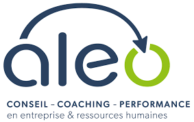 aleo consulting