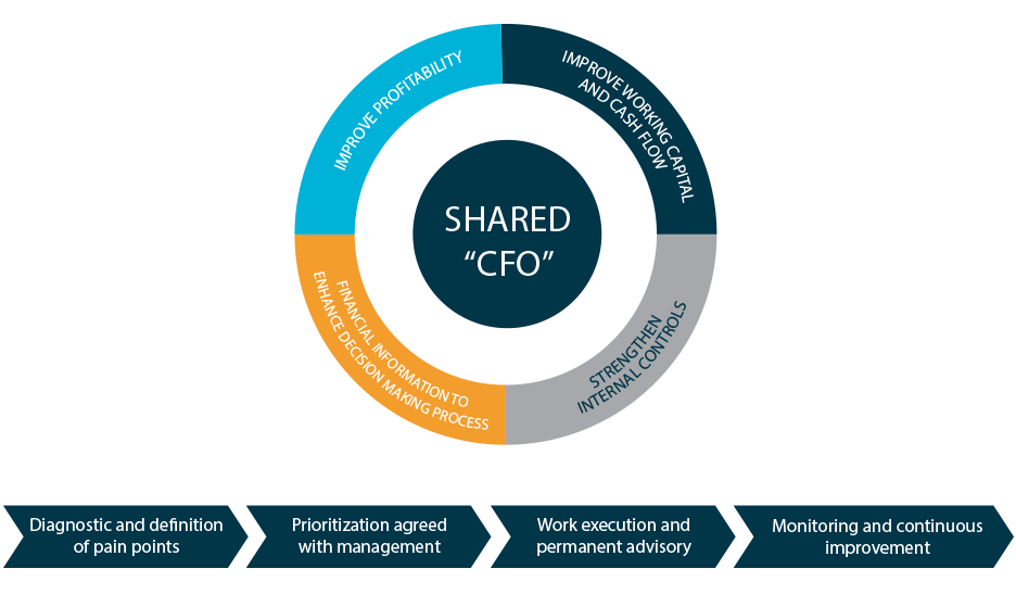 Shared CFO