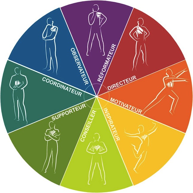 Roue des couleurs insight